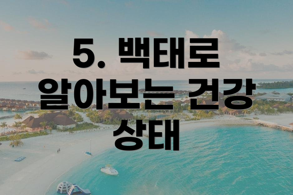 5. 백태로 알아보는 건강 상태