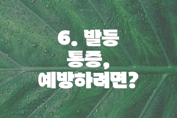 6. 발등 통증, 예방하려면?