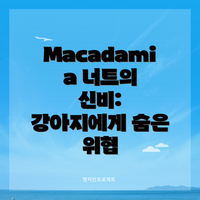 Macadamia 너트의 신비: 강아지에게 숨은 위협