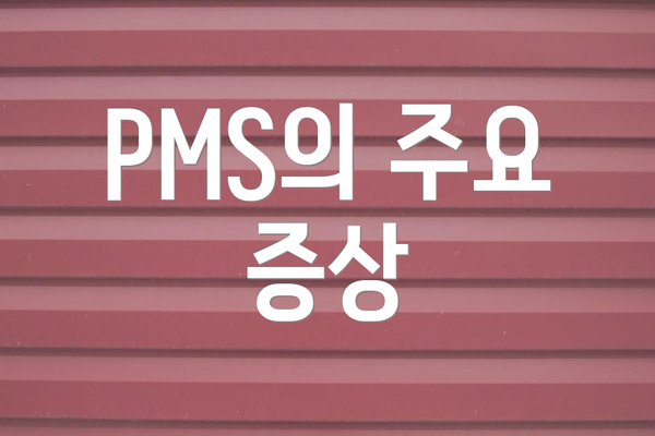 PMS의 주요 증상