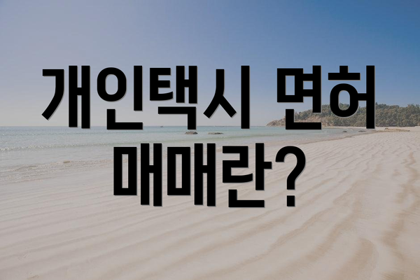 개인택시 면허 매매란?