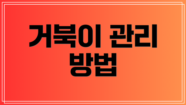 거북이 관리 방법