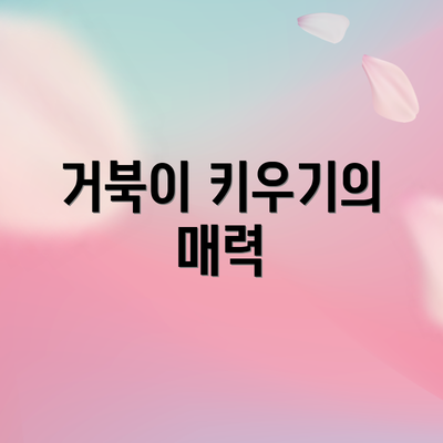 거북이 키우기의 매력