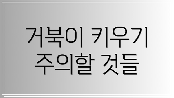 거북이 키우기 주의할 것들