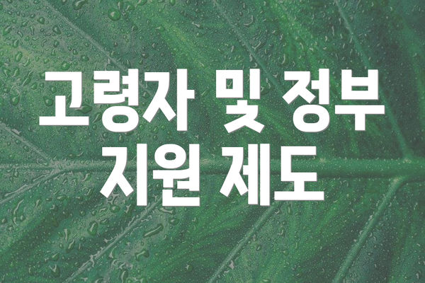 고령자 및 정부 지원 제도