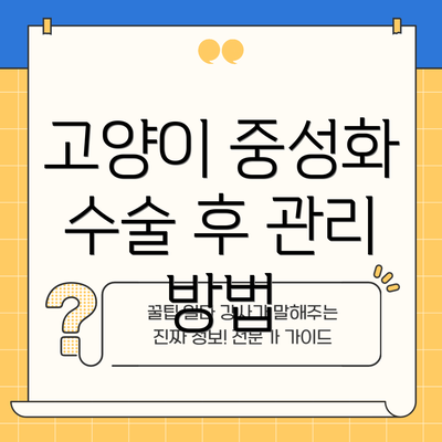고양이 중성화 수술 후 관리 방법