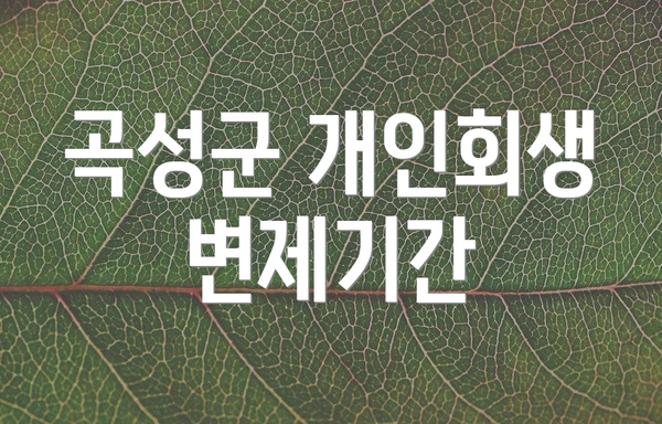곡성군 개인회생 변제기간