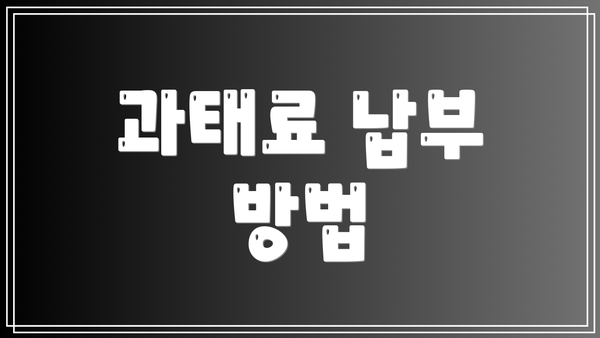 과태료 납부 방법