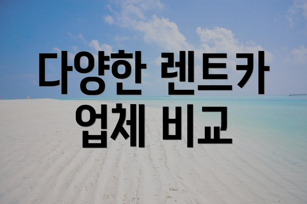 다양한 렌트카 업체 비교