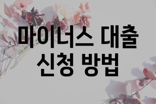 마이너스 대출 신청 방법