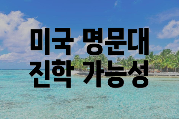 미국 명문대 진학 가능성