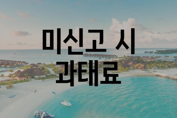 미신고 시 과태료