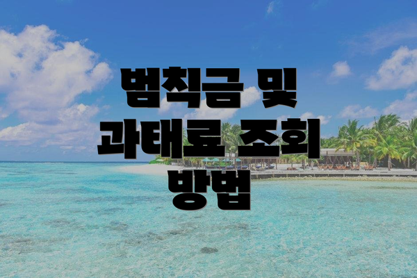범칙금 및 과태료 조회 방법