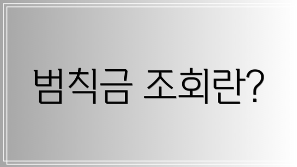범칙금 조회란?