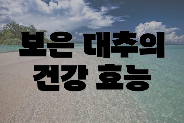 보은 대추의 건강 효능