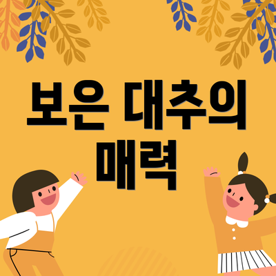 보은 대추의 매력