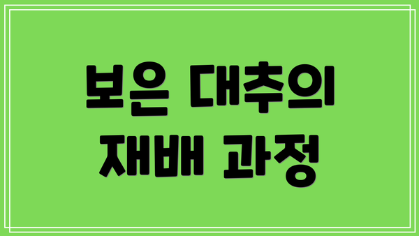보은 대추의 재배 과정