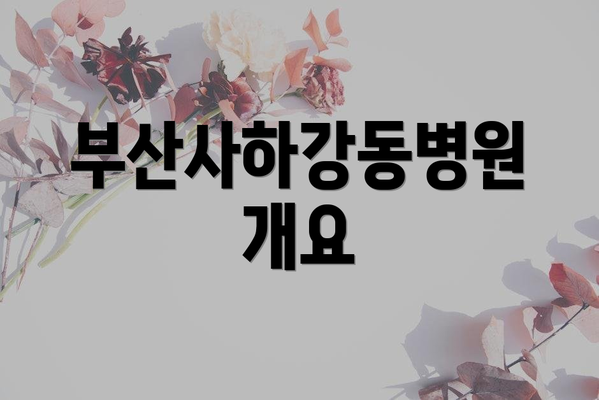 부산사하강동병원 개요