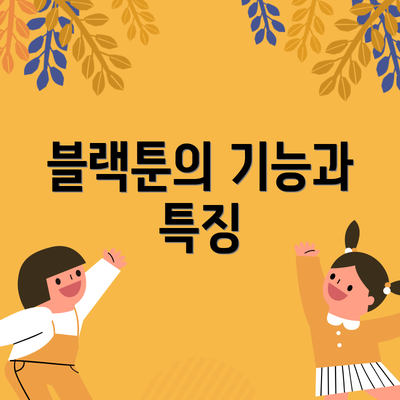 블랙툰의 기능과 특징