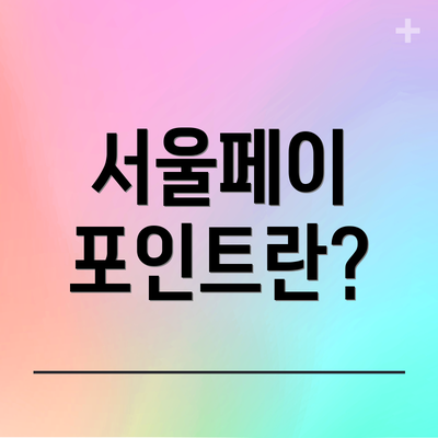 서울페이 포인트란?