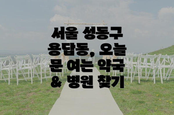 서울 성동구 용답동, 오늘 문 여는 약국 & 병원 찾기