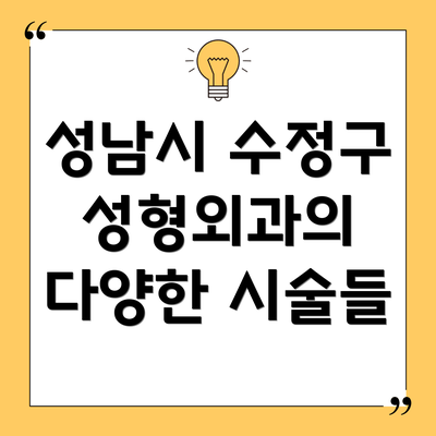 성남시 수정구 성형외과의 다양한 시술들