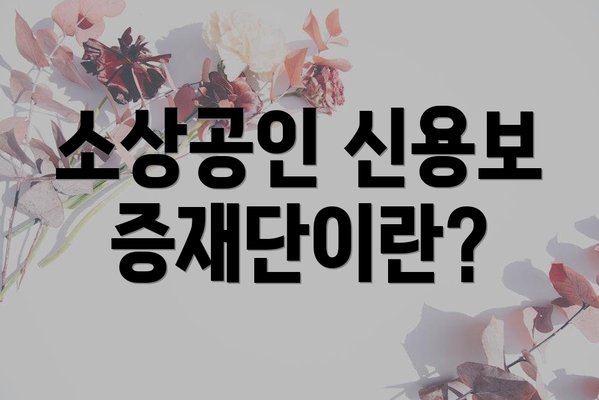 소상공인 신용보증재단이란?