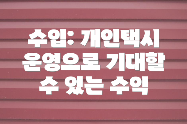 수입: 개인택시 운영으로 기대할 수 있는 수익