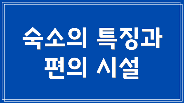 숙소의 특징과 편의 시설