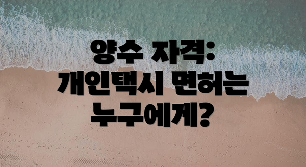 양수 자격: 개인택시 면허는 누구에게?