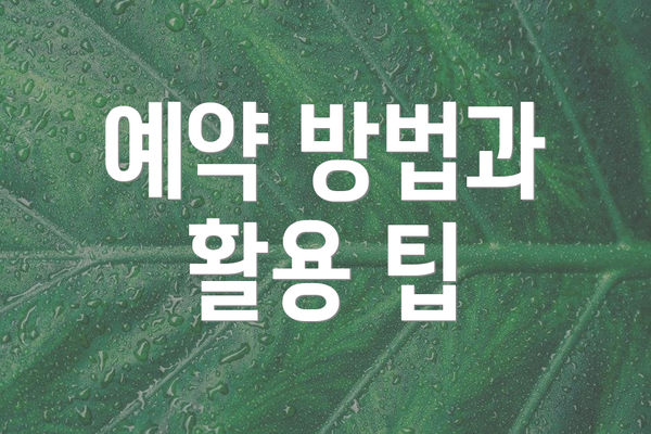 예약 방법과 활용 팁