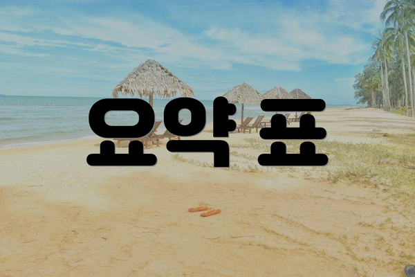 요약 표