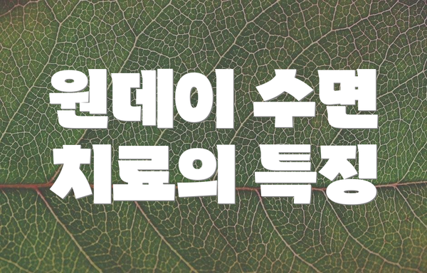 원데이 수면 치료의 특징