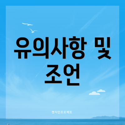 유의사항 및 조언