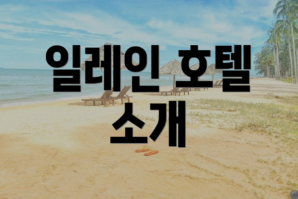 일레인 호텔 소개