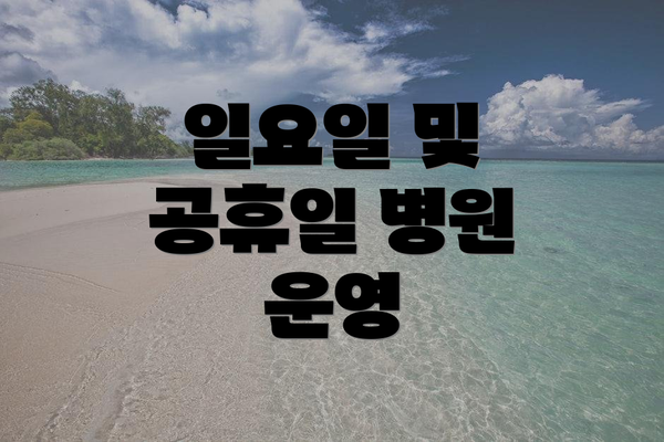 일요일 및 공휴일 병원 운영