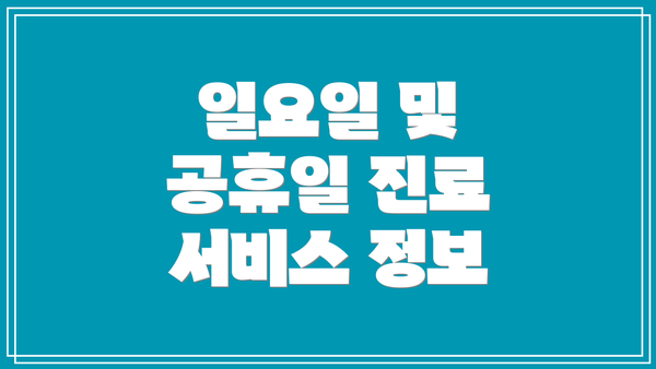 일요일 및 공휴일 진료 서비스 정보