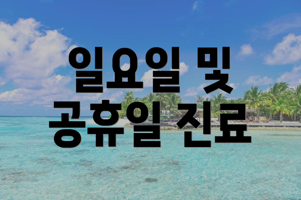 일요일 및 공휴일 진료