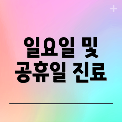 일요일 및 공휴일 진료