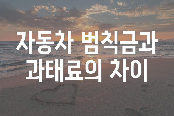 자동차 범칙금과 과태료의 차이