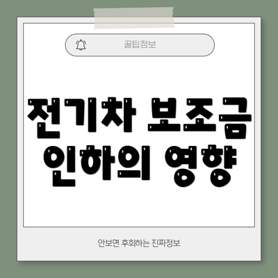 전기차 보조금 인하의 영향