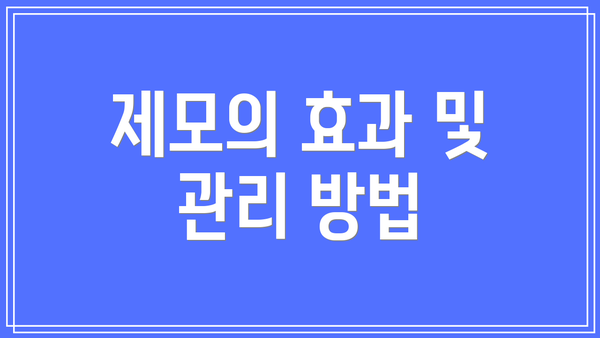 제모의 효과 및 관리 방법