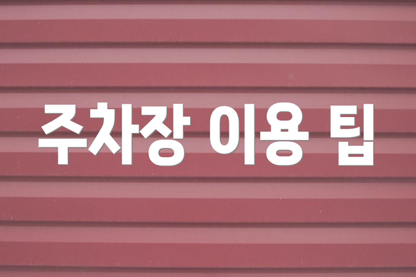 주차장 이용 팁