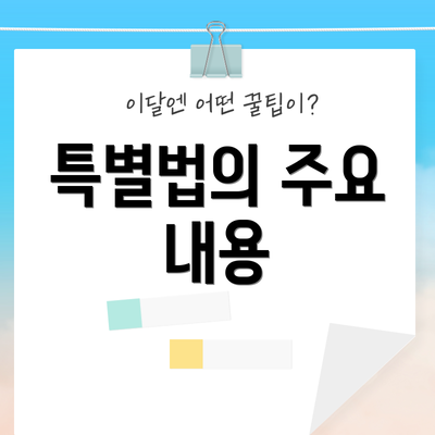 특별법의 주요 내용