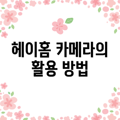 헤이홈 카메라의 활용 방법
