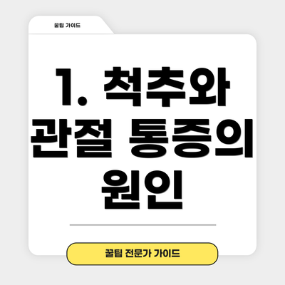 1. 척추와 관절 통증의 원인