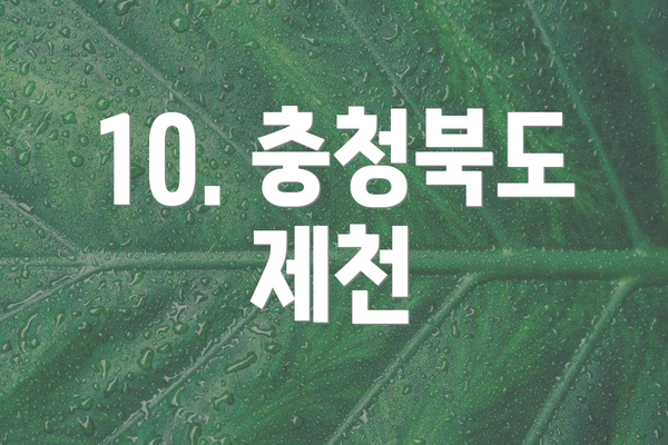 10. 충청북도 제천
