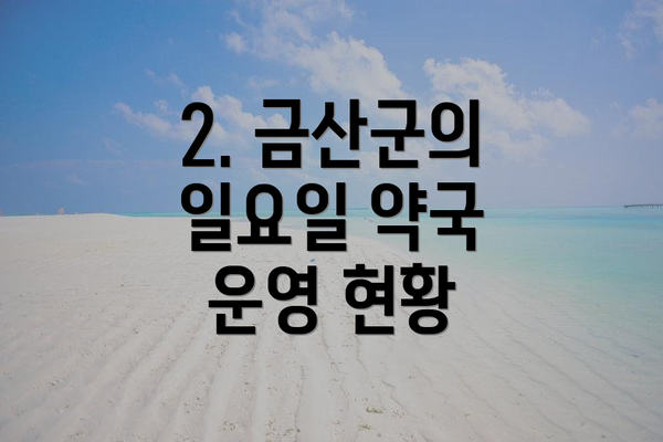 2. 금산군의 일요일 약국 운영 현황