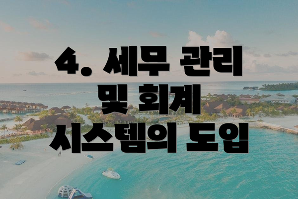 4. 세무 관리 및 회계 시스템의 도입