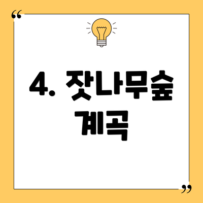 4. 잣나무숲 계곡
